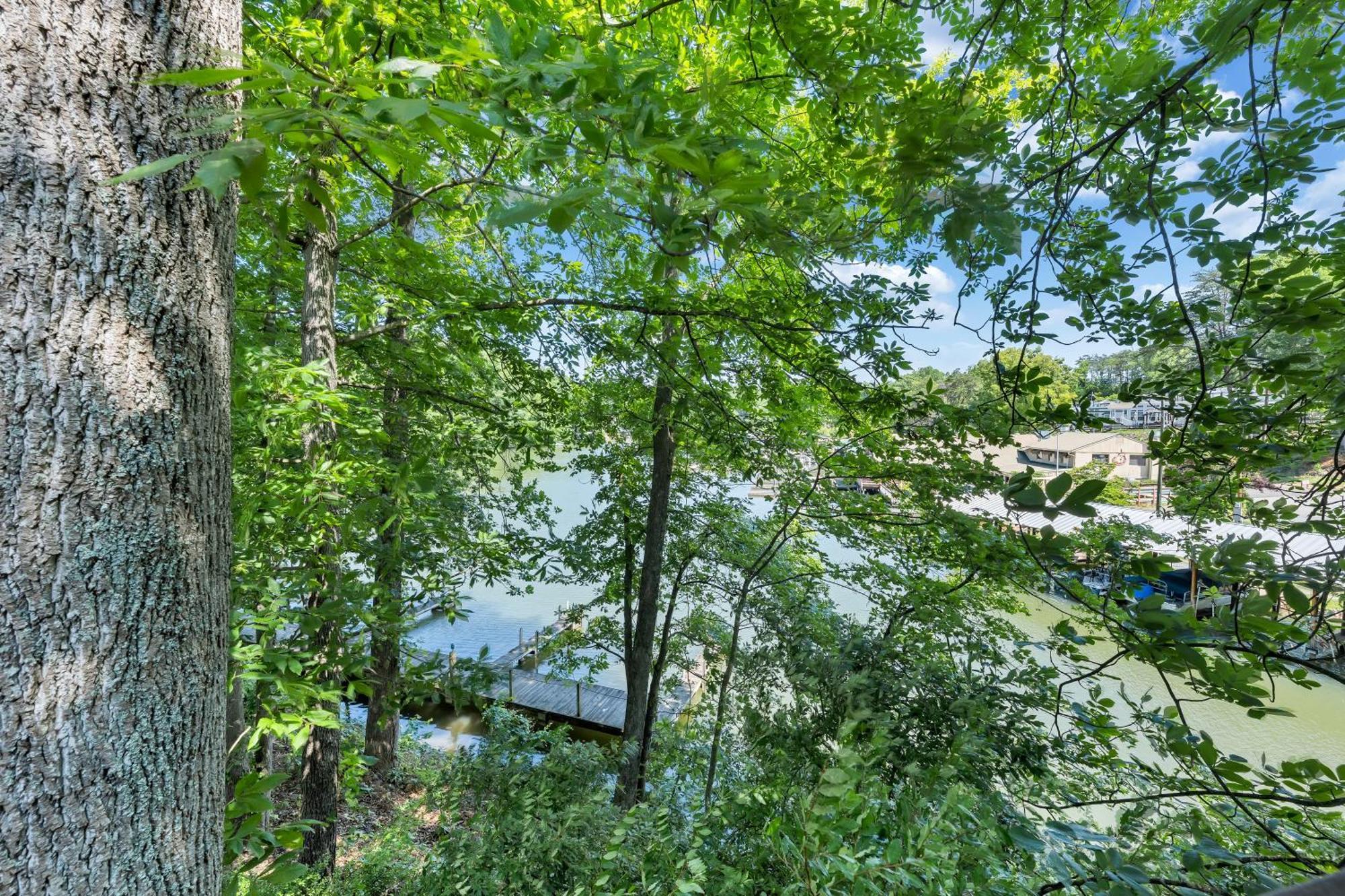 Halesford Harbour Resort - Smith Mountain Lake Moneta Exteriör bild